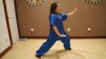 /album/workshop-tai-chi-kung-fu-meste-lap-wah-ng-2015/dsc07623-jpg/